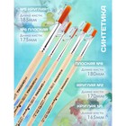 Набор кистей для рисования, синтетика, 5 штук: №: 1, 2, 5 (круглые), № 6, 8 (плоские), Calligrata, круглые, плоские, деревянная ручка, в пакете - Фото 2