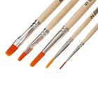 Набор кистей для рисования, синтетика, 5 штук: №: 1, 2, 5 (круглые), № 6, 8 (плоские), Calligrata, круглые, плоские, деревянная ручка, в пакете - Фото 6