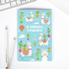 Подарочный набор «Не ЛАМАйся», тетрадь, ручка, брелок 4631854