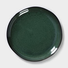Тарелка фарфоровая Verde notte, d=26,5 см - фото 5871154