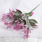 Букет "Цветочки с листиками" с напылением, 22 см, микс - Фото 1