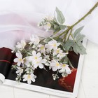Цветы искусственные "Весенний аромат" 4,5х51 см, белый - фото 319705918