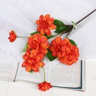 Цветы искусственные "Георгин махровый" 8*66 см, оранжевый 4642803 - фото 16987226