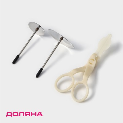 Набор кондитерский Доляна, 3 предмета, гвоздь кондитерский d=3/5 см, ножницы кондитерские для переноски украшений, МИКС