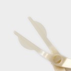 Набор кондитерский Доляна, 3 предмета, гвоздь кондитерский d=3/5 см, ножницы кондитерские для переноски украшений, цвет МИКС - фото 7713693