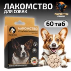 Лакомство для собак «Пижон. Крепкий иммунитет» с ламинарией, со вкусом лосося, 60 таб - Фото 1