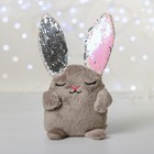 Мягкая игрушка «Зайка Мила», с пайетками, 16×8×17 см - Фото 3