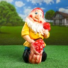 Садовая фигура "Гном с грибами" 39х25см - Фото 1