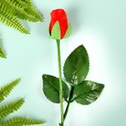 Мыльные лепестки "Роза", красная - Фото 1