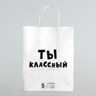 Пакет подарочный «Ты классный», 24?10.5?32 см (комплект 10 шт) - фото 39521431