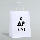 Пакет подарочный «С др крч!», 24?14?28 см (комплект 2 шт) - фото 21024315