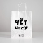Пакет подарочный «Чёт несу», 24 х 10,5 х 32 см 4773962 - фото 16971238