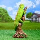 Садовая фигура "Хамелеон на ветке" акрил 17х14х35см - Фото 3