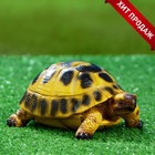 Садовая фигура из полистоуна «Черепашка», 8×18×11 см - Фото 4