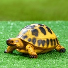 Садовая фигура из полистоуна «Черепашка», 8×18×11 см - Фото 5