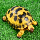 Садовая фигура из полистоуна «Черепашка», 8×18×11 см - Фото 7