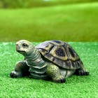 Садовая фигура "Черепаха" 21,5х17х11см - Фото 2