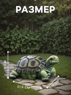Садовая фигура из полистоуна «Черепаха», 28×22×17 см - Фото 2