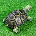 Садовая фигура "Черепаха" 21,5х17х11см - Фото 4