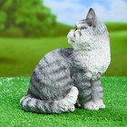 Садовая фигура "Кот Васька" 19х13х21см - Фото 2