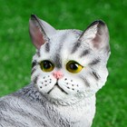 Садовая фигура "Кот Васька" 19х13х21см - Фото 4