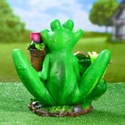 Садовая фигура из полистоуна «Лягушка с табличкой», 29×19×30 см - Фото 4