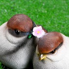 Садовая фигура из полистоуна «Воробьи», 24×21×17 см - Фото 2