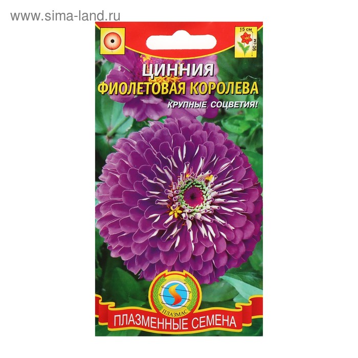 Семена цветов Цинния "Фиолетовая королева", 0,3 г - Фото 1