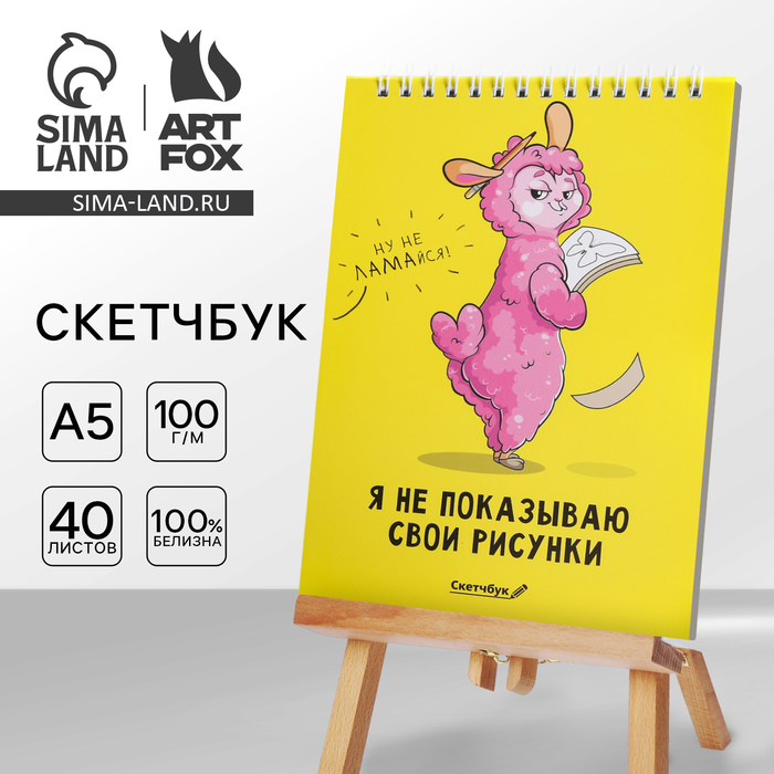 Скетчбук «Я не показываю свои рисунки» А5, 40 л, 100 г/м - Фото 1