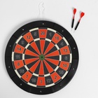 Дартс «ЕВРО», d=43 см, толщина 3 см, 2 дротика, дротик 13.5×2.5 см - Фото 5