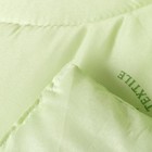 Одеяло Эконом Бамбук 140х205 см, полиэфирное волокно, 300гр/м, пэ 100% - Фото 3