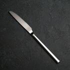Нож столовый из нержавеющей стали «Тайфун», длина 22,5 см, цвет серебряный - фото 318640525