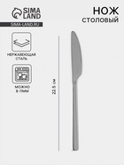 Нож столовый «Тайфун», длина 22.5 см, нержавеющая сталь, серебристый - Фото 1