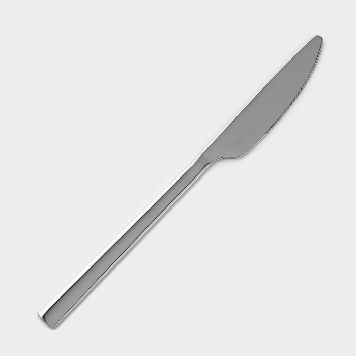 Нож столовый из нержавеющей стали «Тайфун», длина 22,5 см, цвет серебряный - фото 1908530351