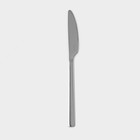 Нож столовый из нержавеющей стали «Тайфун», длина 22,5 см, цвет серебряный - фото 4608119