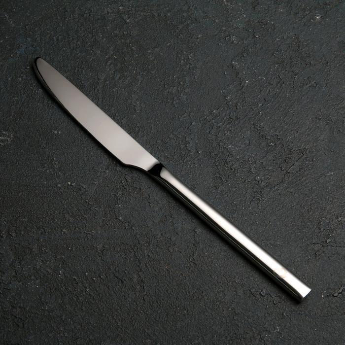 Нож столовый из нержавеющей стали «Тайфун», длина 22,5 см, цвет серебряный - фото 1908530352