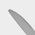 Нож столовый «Тайфун», длина 22.5 см, нержавеющая сталь, серебристый - Фото 3