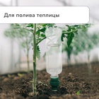 Автополив для комнатных растений под бутылку, h=10.5 см, набор 2 шт., Greengo - Фото 3