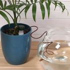 Автополив для комнатных растений, набор 2 шт., шланг 1 м, Greengo - Фото 2