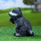 Садовая фигура "Енот крошка" 14х15х18см - Фото 2