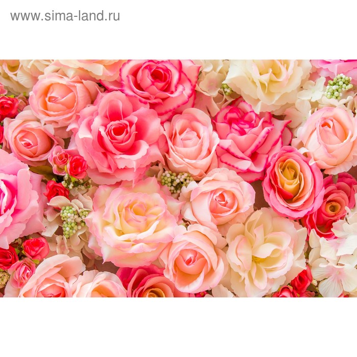 Фотобаннер, 300 × 200 см, с фотопечатью, люверсы шаг 1 м, «Розы»