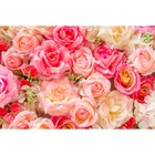 Фотобаннер, 250 × 200 см, с фотопечатью, люверсы шаг 1 м, «Розы» - фото 298290884