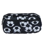 Пенал школьный "Мячи", на молнии, 2 отделения, МИКС 4631915