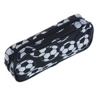 Пенал школьный "Мячи", на молнии, 2 отделения, МИКС 4631915