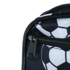 Пенал школьный "Мячи", на молнии, 2 отделения, МИКС 4631915