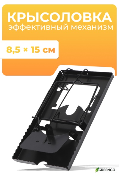 Крысоловка, 9×16.5×1.5 см, чёрная, Greengo