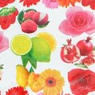 Клеёнка на стол Доляна «Фрукты», ширина 137 см, толщина 0.08 мм, рулон 30 м - Фото 3