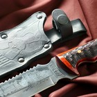 Нож кавказский, туристический "Викинг" с ножнами, сталь - 40х13, жженый орех, 14.5 см - Фото 2