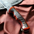 Нож кавказский, туристический "Викинг" с ножнами, сталь - 40х13, жженый орех, 14.5 см - Фото 4