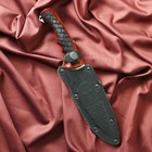 Нож кавказский, туристический "Викинг" с ножнами, сталь - 40х13, жженый орех, 14.5 см - Фото 5